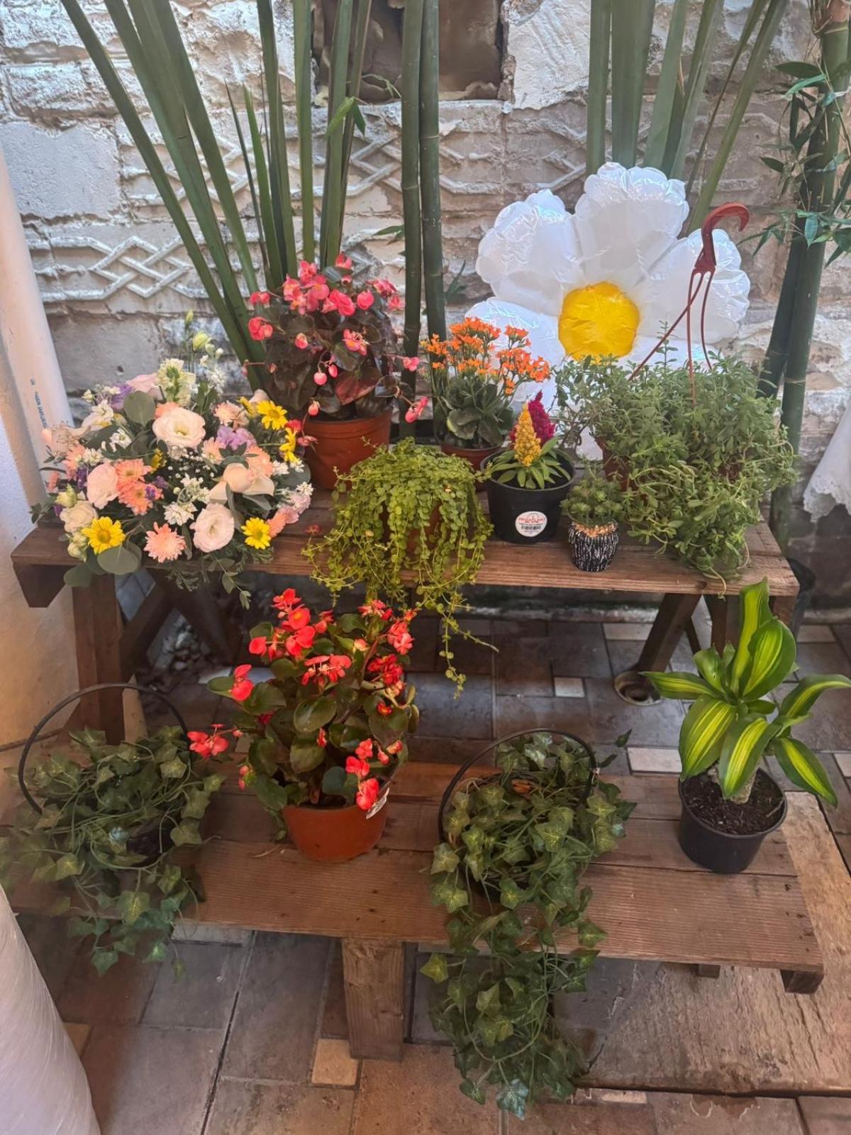 Departamento Centro Historico De Tampico 아파트 외부 사진